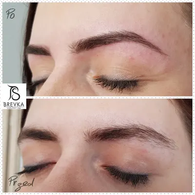 Brevka Studio Brwi i Rzęs